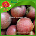 Pomme de pomme de pomme ronde Apple Fuji en vente